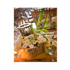 Centerpiece 18